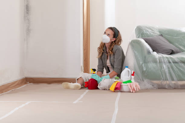 Reliable Crawl Space Mold Removal contractor in Stirling, NJ by WQB Mold Removal