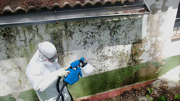 Top rated local Crawl Space Mold Removal specialists in Stirling, NJ